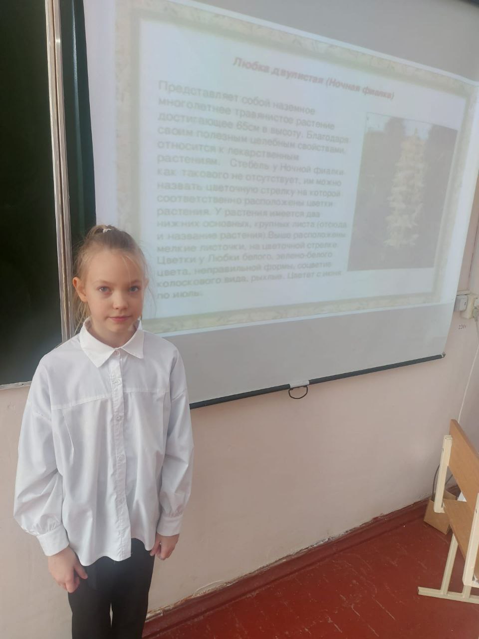 &amp;quot;Чудеса науки и природы&amp;quot;.